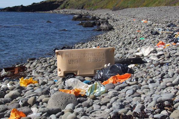 Icelandic Beach